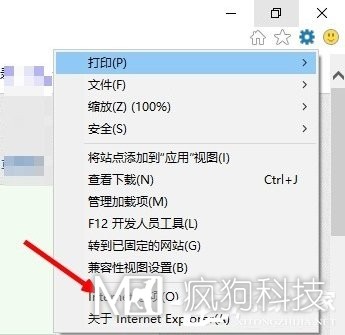 Win10系统internet explorer无法显示该网页怎么办？